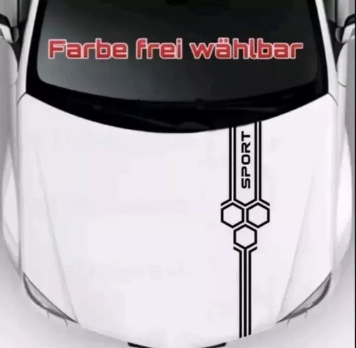 Motorhaube waben sport auto - sport,