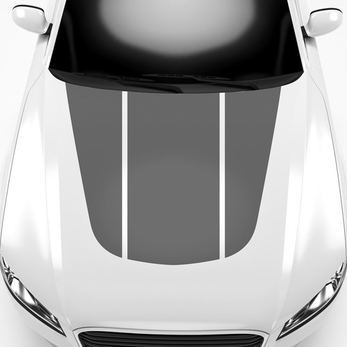 Rennstreifen sport motorhaube - rennstreifen,
